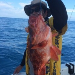 Blue.win 海人丸 釣果