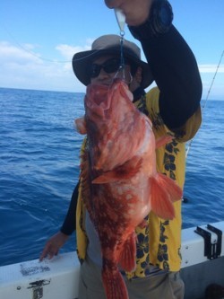 Blue.win 海人丸 釣果