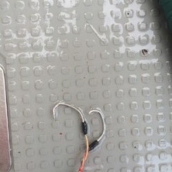 Blue.win 海人丸 釣果