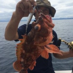 Blue.win 海人丸 釣果