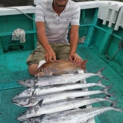 清和丸 釣果