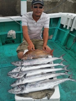 清和丸 釣果