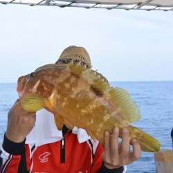 宝生丸 釣果
