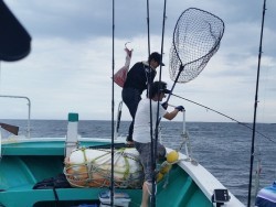 清和丸 釣果