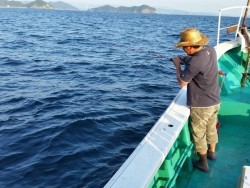 清和丸 釣果