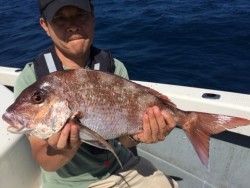 エヌスタイル 釣果