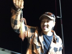 エヌスタイル 釣果