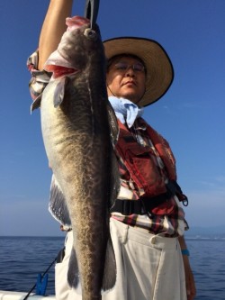 エヌスタイル 釣果