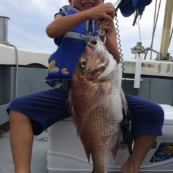 エヌスタイル 釣果