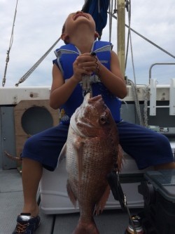 エヌスタイル 釣果