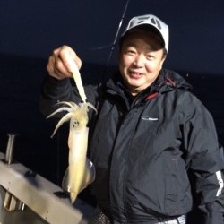 エヌスタイル 釣果