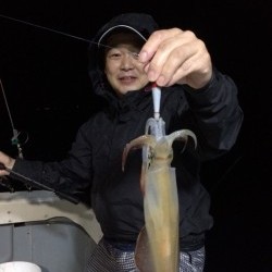 エヌスタイル 釣果