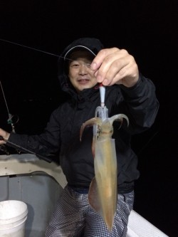 エヌスタイル 釣果