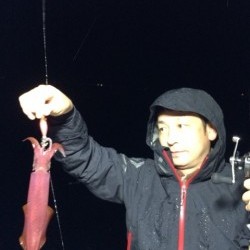 エヌスタイル 釣果