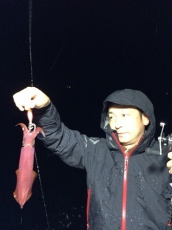 エヌスタイル 釣果