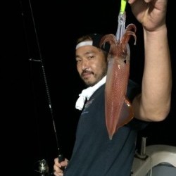 エヌスタイル 釣果