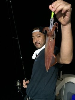 エヌスタイル 釣果