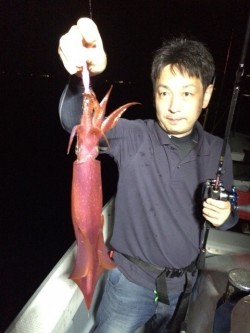 エヌスタイル 釣果