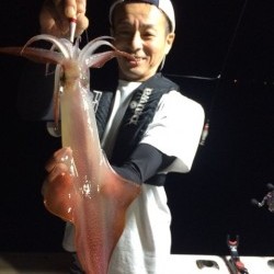 エヌスタイル 釣果