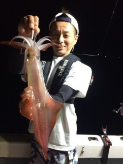 エヌスタイル 釣果