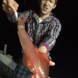 エヌスタイル 釣果