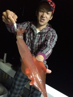 エヌスタイル 釣果