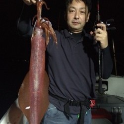 エヌスタイル 釣果