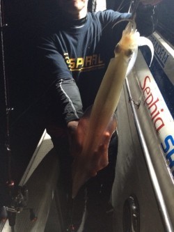 エヌスタイル 釣果