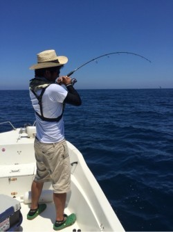 「LaGooN」蒼陽丸 日和号　 釣果