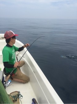 「LaGooN」蒼陽丸 日和号　 釣果