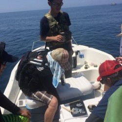 「LaGooN」蒼陽丸 日和号　 釣果