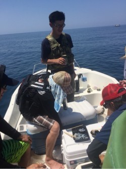 「LaGooN」蒼陽丸 日和号　 釣果