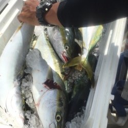 「LaGooN」蒼陽丸 日和号　 釣果