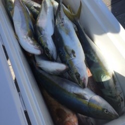 「LaGooN」蒼陽丸 日和号　 釣果