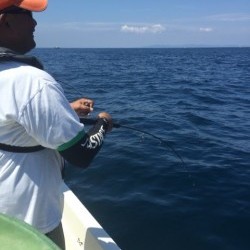 「LaGooN」蒼陽丸 日和号　 釣果