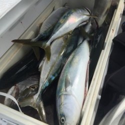 「LaGooN」蒼陽丸 日和号　 釣果