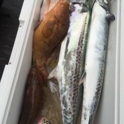 「LaGooN」蒼陽丸 日和号　 釣果