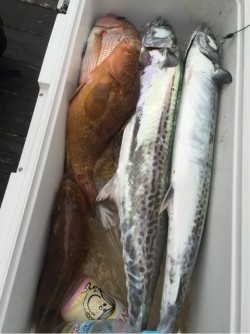 「LaGooN」蒼陽丸 日和号　 釣果