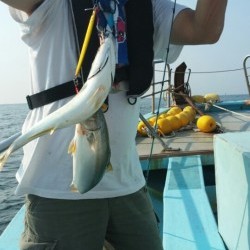 みやけ丸 釣果
