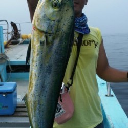 みやけ丸 釣果