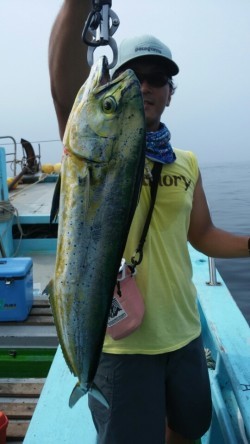 みやけ丸 釣果