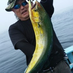 みやけ丸 釣果