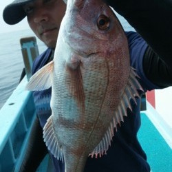 みやけ丸 釣果