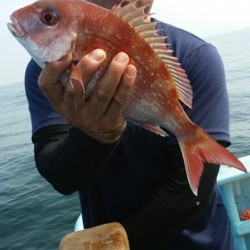 みやけ丸 釣果