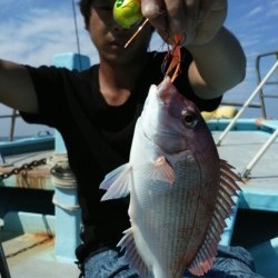 みやけ丸 釣果