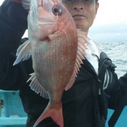 みやけ丸 釣果