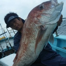 みやけ丸 釣果