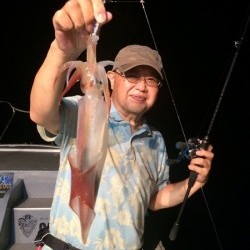 South Current 釣果