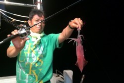 South Current 釣果