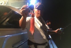 South Current 釣果